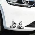Peeking Cat Car Window Decal, Vinyl Die Cut Sticker, 7.0 x 3.75 Inches, White