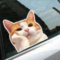 Cute Orange Cat Daydreaming Vinyl Decal Sticker, 4.72x4.72 Inches, Adorable Feline Car Window Laptop Decal, Waterproof Durable, Outdoor Indoor Use, 2 Pack