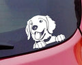 Car Sticker for Bumper Hood Window Dog Size (19x16cm) _White