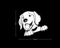 Car Sticker for Bumper Hood Window Dog Size (19x16cm) _White