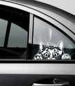 Peeking Cat Car Window Decal, Vinyl Die Cut Sticker, 7.0 x 3.75 Inches, White