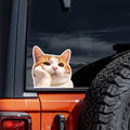Cute Orange Cat Daydreaming Vinyl Decal Sticker, 4.72x4.72 Inches, Adorable Feline Car Window Laptop Decal, Waterproof Durable, Outdoor Indoor Use, 2 Pack