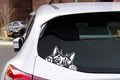 Peeking Cat Car Window Decal, Vinyl Die Cut Sticker, 7.0 x 3.75 Inches, White