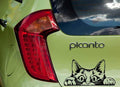 Peeking Cat Car Window Decal, Vinyl Die Cut Sticker, 7.0 x 3.75 Inches, White