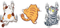 Funny Cat Scratch Car Stickers, Set of 3 Vinyl Decals for Auto, Truck, Window, 5-6 inches