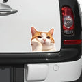 Cute Orange Cat Daydreaming Vinyl Decal Sticker, 4.72x4.72 Inches, Adorable Feline Car Window Laptop Decal, Waterproof Durable, Outdoor Indoor Use, 2 Pack