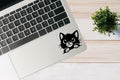 Cute Cat Peeking Vinyl Decal Stickers, 2-Pack, for Laptops, Cars, Water Bottles