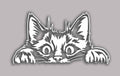 Peeking Cat Car Window Decal, Vinyl Die Cut Sticker, 7.0 x 3.75 Inches, White